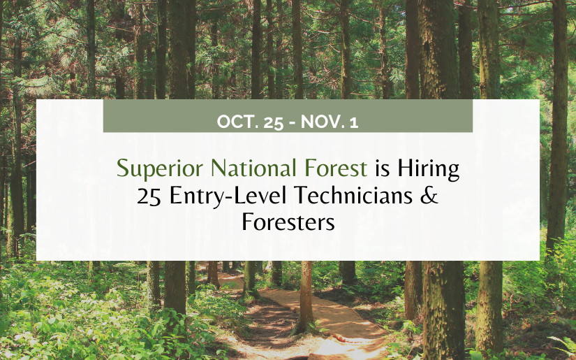 Superior National Forest is Hiring 25 Entry-Level Technicians & Foresters, Oct. 25 - Nov. 1